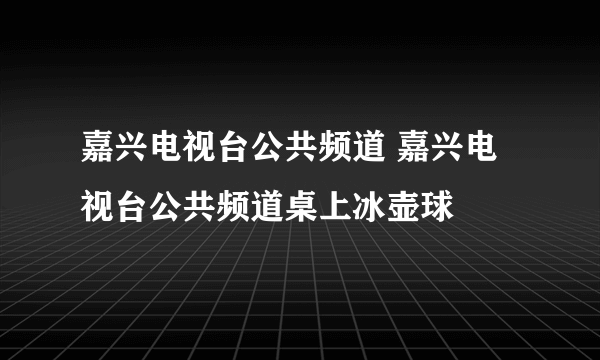 嘉兴电视台公共频道 嘉兴电视台公共频道桌上冰壶球