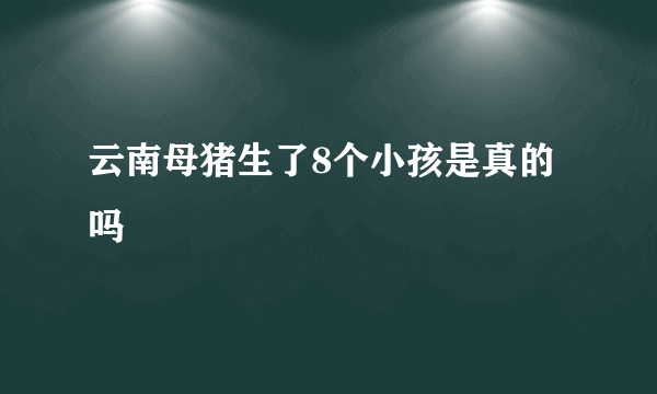 云南母猪生了8个小孩是真的吗