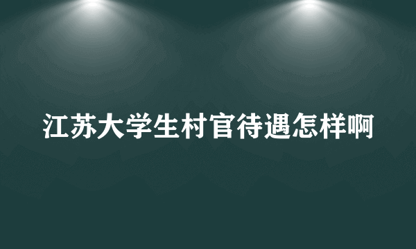 江苏大学生村官待遇怎样啊