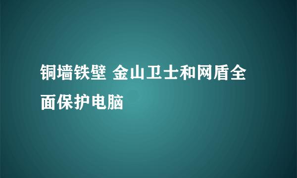 铜墙铁壁 金山卫士和网盾全面保护电脑