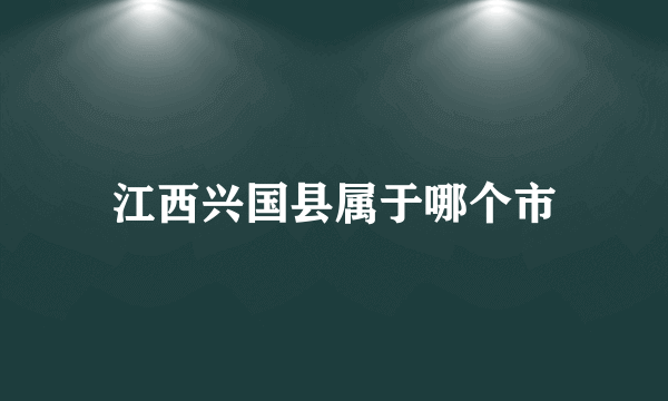 江西兴国县属于哪个市