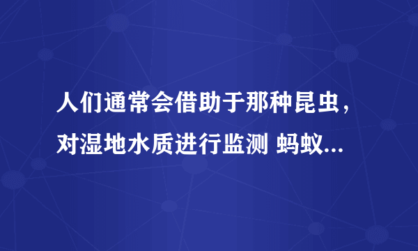 人们通常会借助于那种昆虫，对湿地水质进行监测 蚂蚁庄园今日答案8月11日