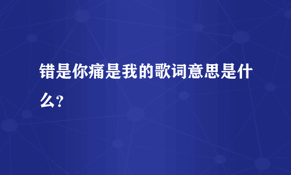 错是你痛是我的歌词意思是什么？