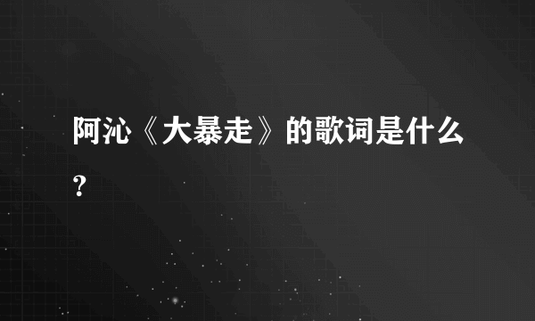 阿沁《大暴走》的歌词是什么？