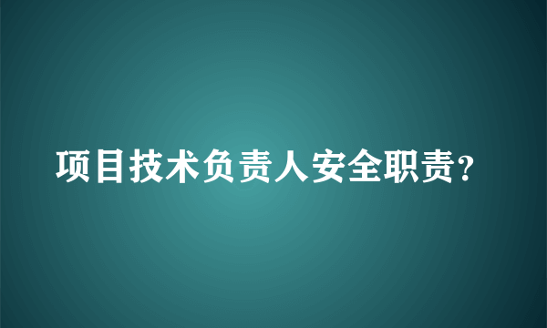 项目技术负责人安全职责？