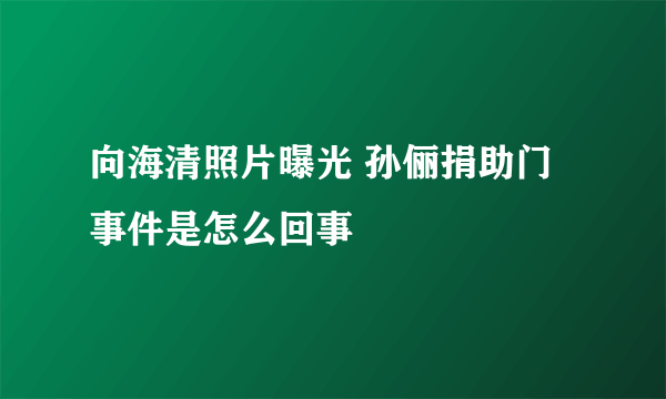 向海清照片曝光 孙俪捐助门事件是怎么回事