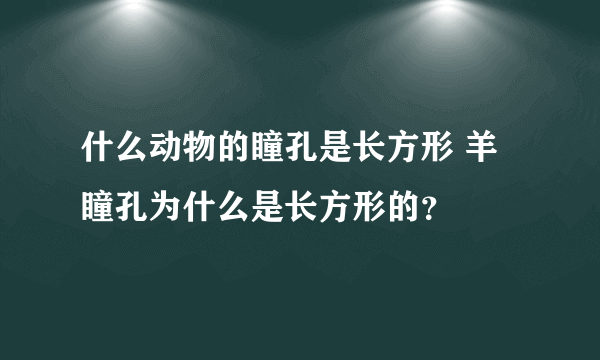 什么动物的瞳孔是长方形 羊瞳孔为什么是长方形的？