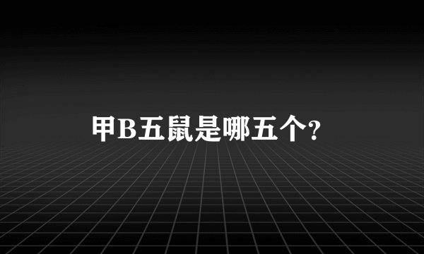 甲B五鼠是哪五个？