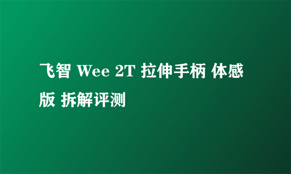 飞智 Wee 2T 拉伸手柄 体感版 拆解评测