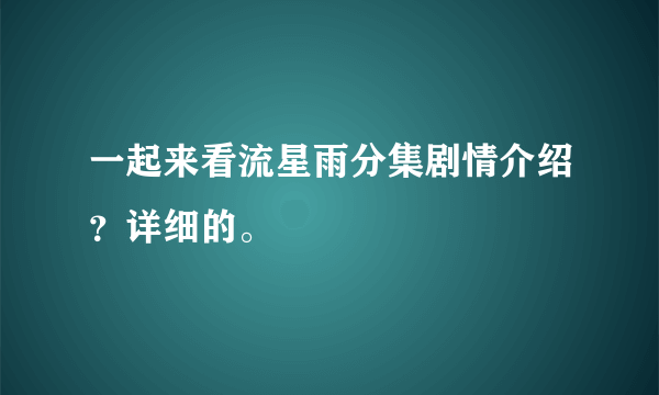 一起来看流星雨分集剧情介绍？详细的。