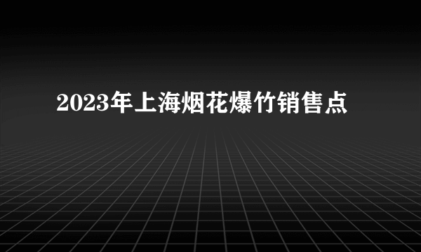 2023年上海烟花爆竹销售点