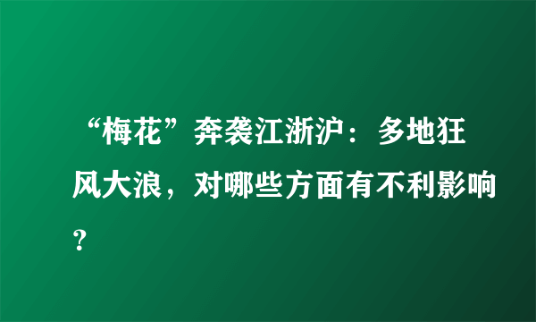 “梅花”奔袭江浙沪：多地狂风大浪，对哪些方面有不利影响？