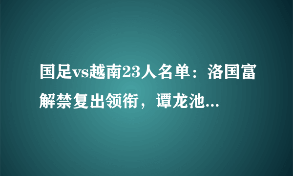 国足vs越南23人名单：洛国富解禁复出领衔，谭龙池忠国落选