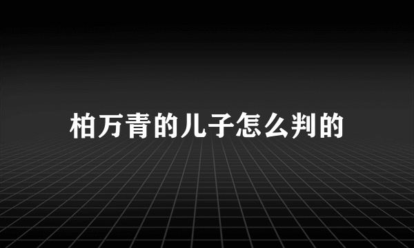 柏万青的儿子怎么判的