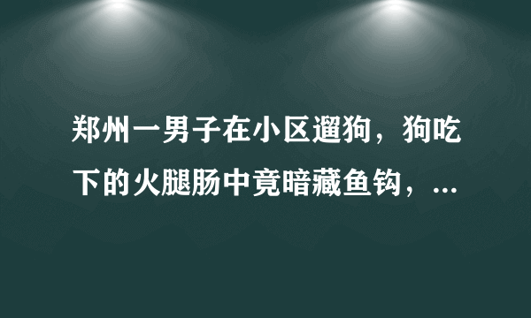 郑州一男子在小区遛狗，狗吃下的火腿肠中竟暗藏鱼钩，你怎么看？