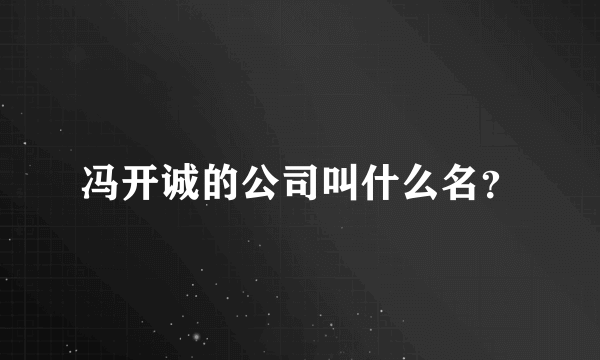 冯开诚的公司叫什么名？