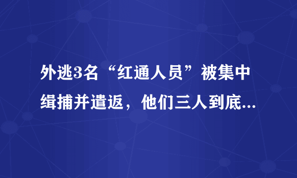 外逃3名“红通人员”被集中缉捕并遣返，他们三人到底是何身份？