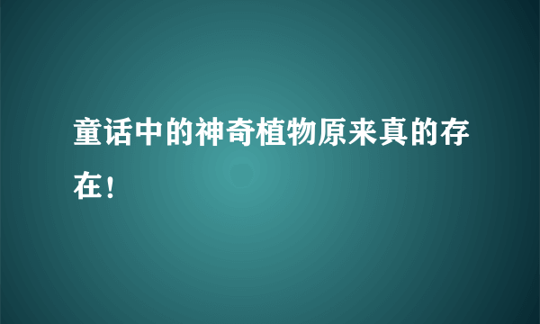 童话中的神奇植物原来真的存在！