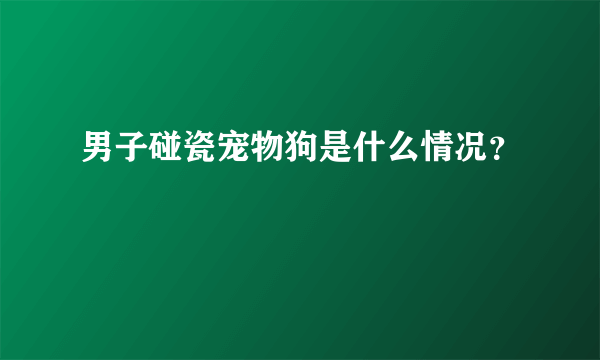 男子碰瓷宠物狗是什么情况？