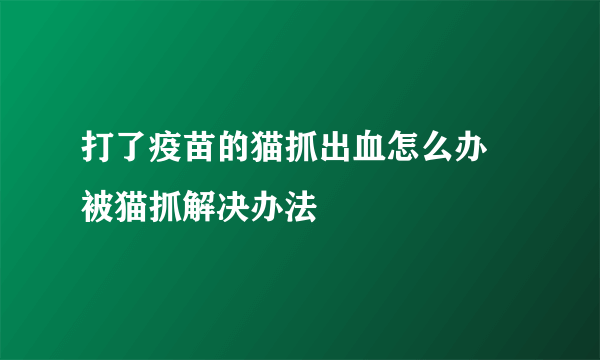 打了疫苗的猫抓出血怎么办 被猫抓解决办法