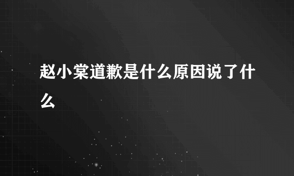 赵小棠道歉是什么原因说了什么