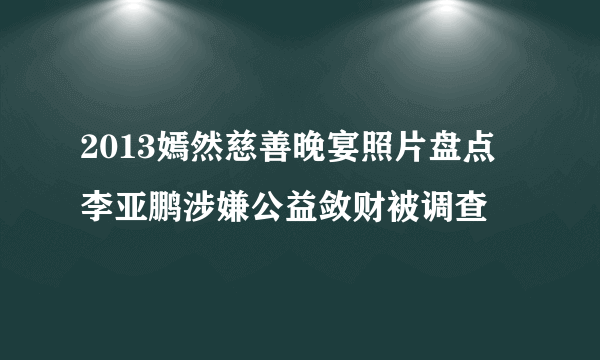 2013嫣然慈善晚宴照片盘点 李亚鹏涉嫌公益敛财被调查