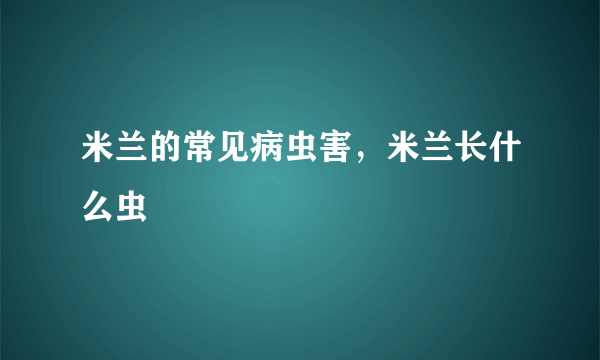 米兰的常见病虫害，米兰长什么虫