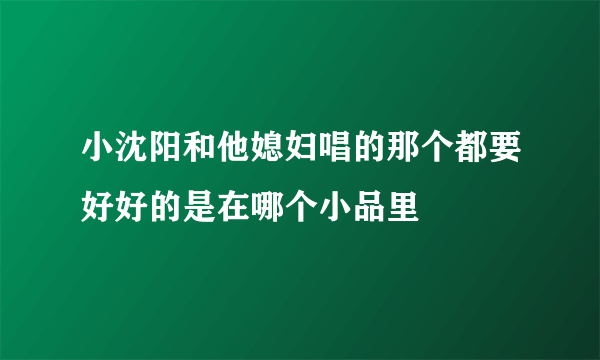 小沈阳和他媳妇唱的那个都要好好的是在哪个小品里