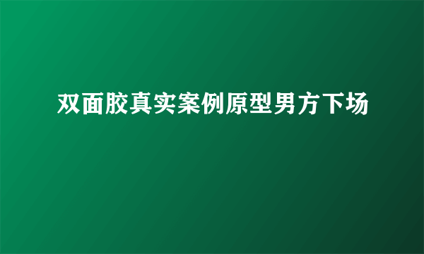 双面胶真实案例原型男方下场