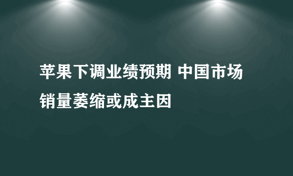 苹果下调业绩预期 中国市场销量萎缩或成主因