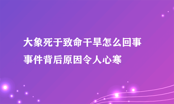 大象死于致命干旱怎么回事  事件背后原因令人心寒