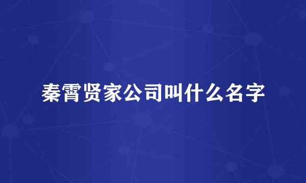 秦霄贤家公司叫什么名字