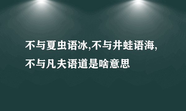 不与夏虫语冰,不与井蛙语海,不与凡夫语道是啥意思