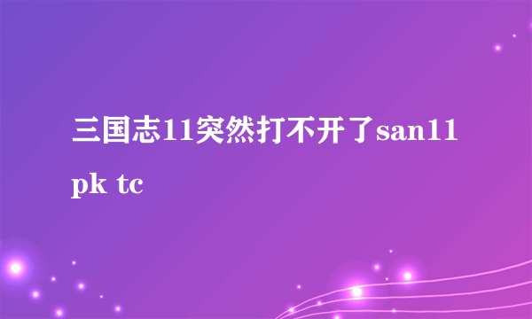 三国志11突然打不开了san11pk tc