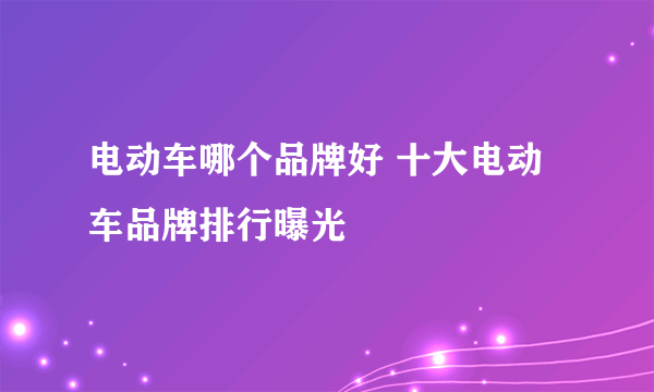 电动车哪个品牌好 十大电动车品牌排行曝光