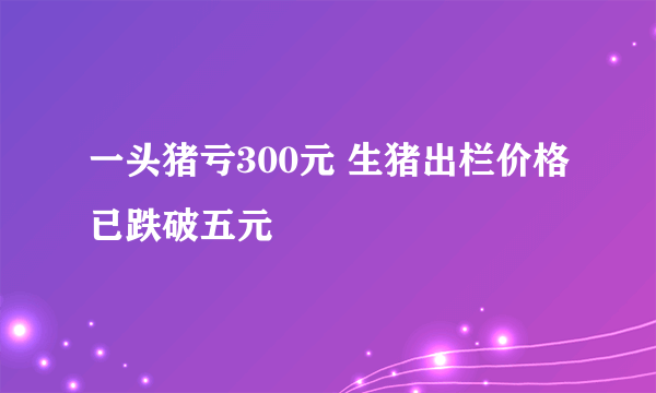 一头猪亏300元 生猪出栏价格已跌破五元