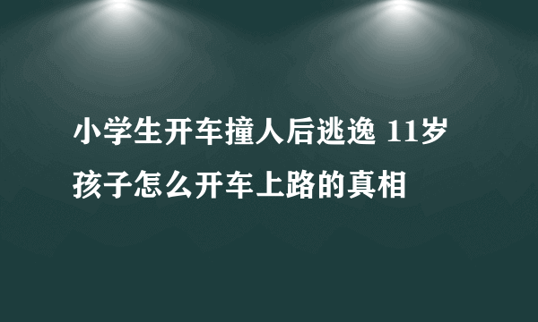 小学生开车撞人后逃逸 11岁孩子怎么开车上路的真相