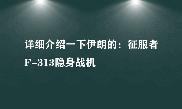 详细介绍一下伊朗的：征服者F-313隐身战机