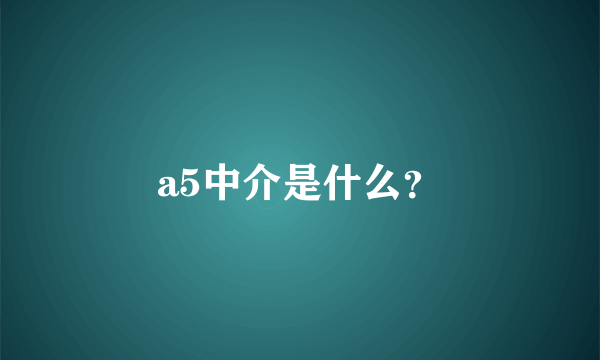 a5中介是什么？