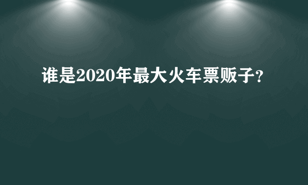 谁是2020年最大火车票贩子？