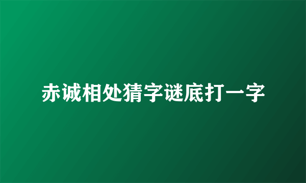 赤诚相处猜字谜底打一字