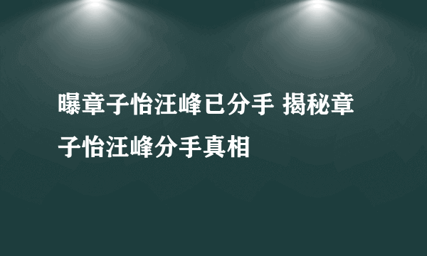 曝章子怡汪峰已分手 揭秘章子怡汪峰分手真相