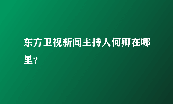 东方卫视新闻主持人何卿在哪里？