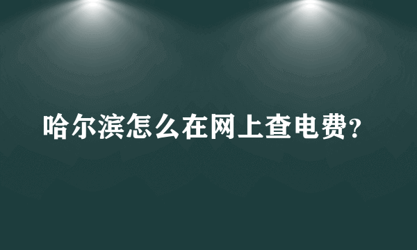 哈尔滨怎么在网上查电费？