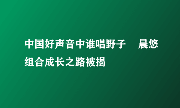 中国好声音中谁唱野子    晨悠组合成长之路被揭