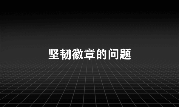 坚韧徽章的问题