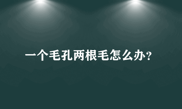 一个毛孔两根毛怎么办？