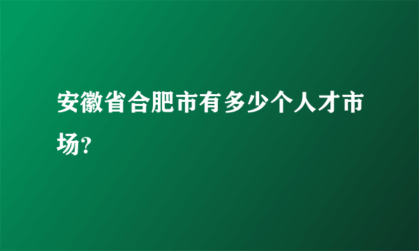 安徽省合肥市有多少个人才市场？