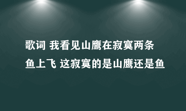 歌词 我看见山鹰在寂寞两条鱼上飞 这寂寞的是山鹰还是鱼