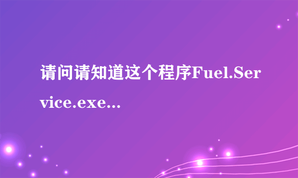 请问请知道这个程序Fuel.Service.exe是干什么的，它总是不充许就自动运行，然后还无法清楚